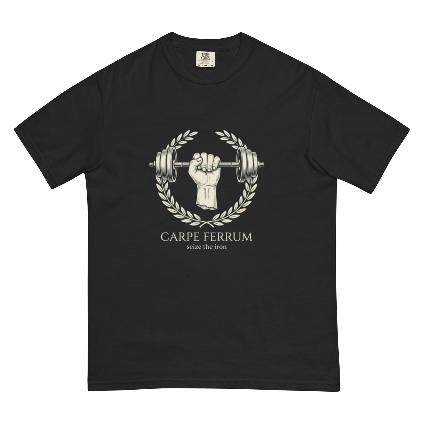 Carpe Ferrum: Seize the Iron | Latin Gym Heavyweight Tee