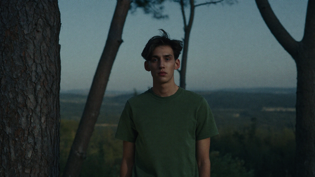 A watchful figure at the treeline of a pine forest at blue hour