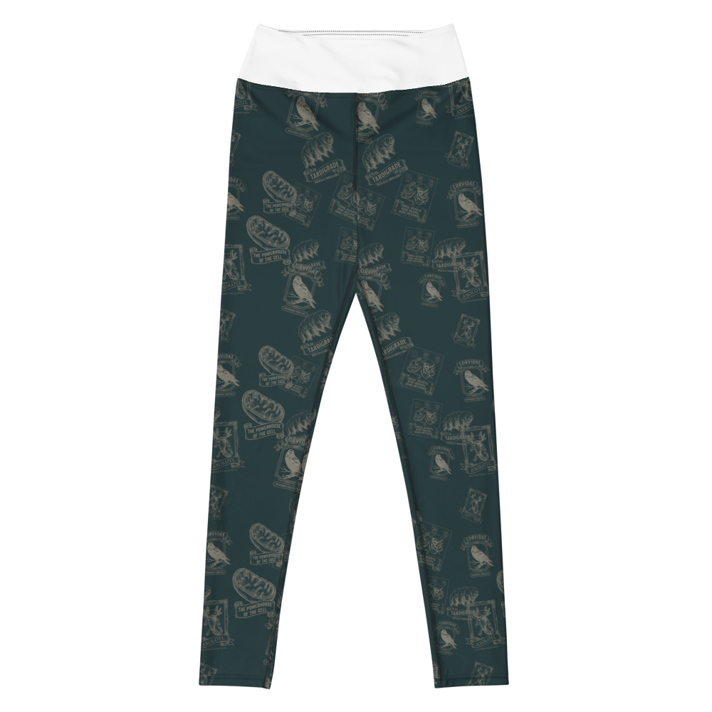 Specimen Plate, Deep | Yoga Leggings - Leggings