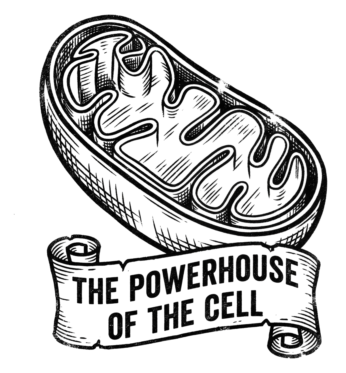 Mitochondria: Powerhouse of the Cell | Kiss-Cut Sticker
