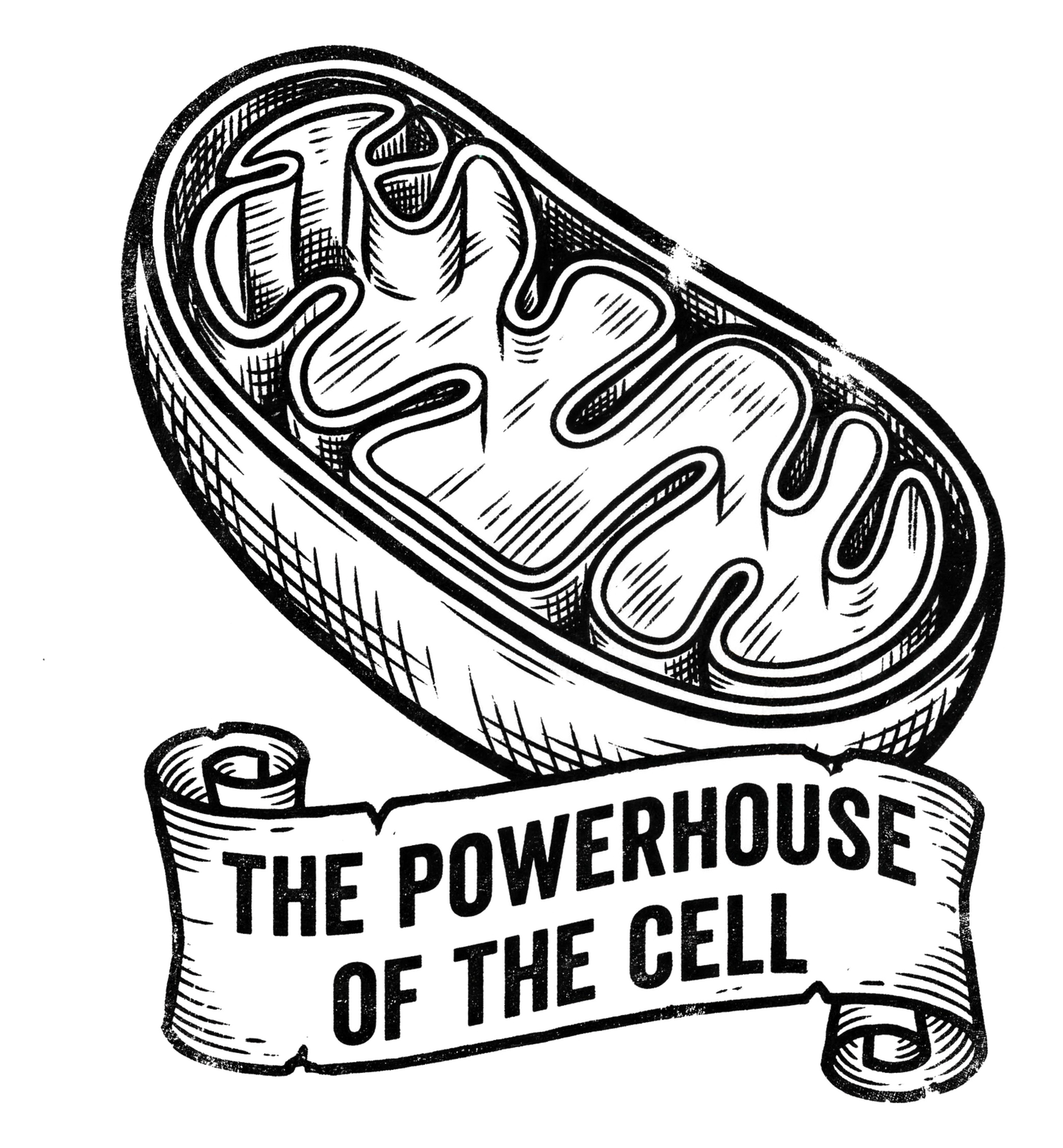 Mitochondria: Powerhouse of the Cell | Kiss-Cut Sticker