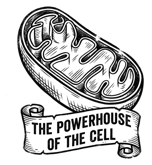 Mitochondria: Powerhouse of the Cell | Kiss-Cut Sticker