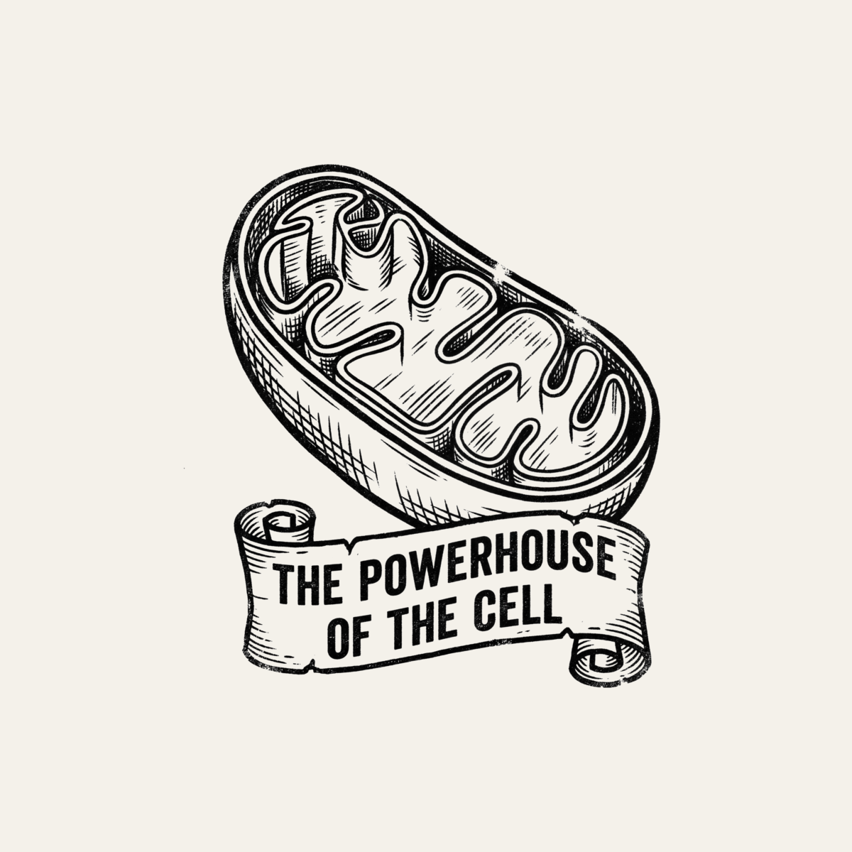 Mitochondria: The Powerhouse of the Cell | Vintage Science Tee design artwork