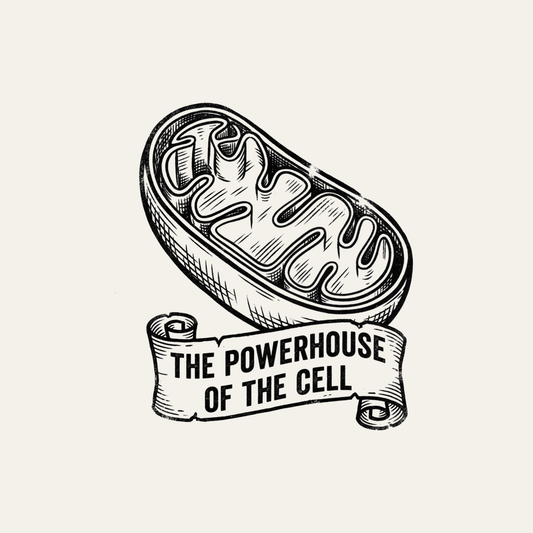 Mitochondria: The Powerhouse of the Cell | Vintage Science Tee design artwork
