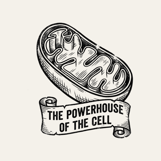 Mitochondria: The Powerhouse of the Cell | Wall Clock design artwork