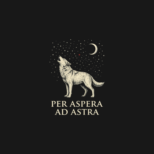 Per Aspera Ad Astra | Sci-Fi Latin Tee design artwork