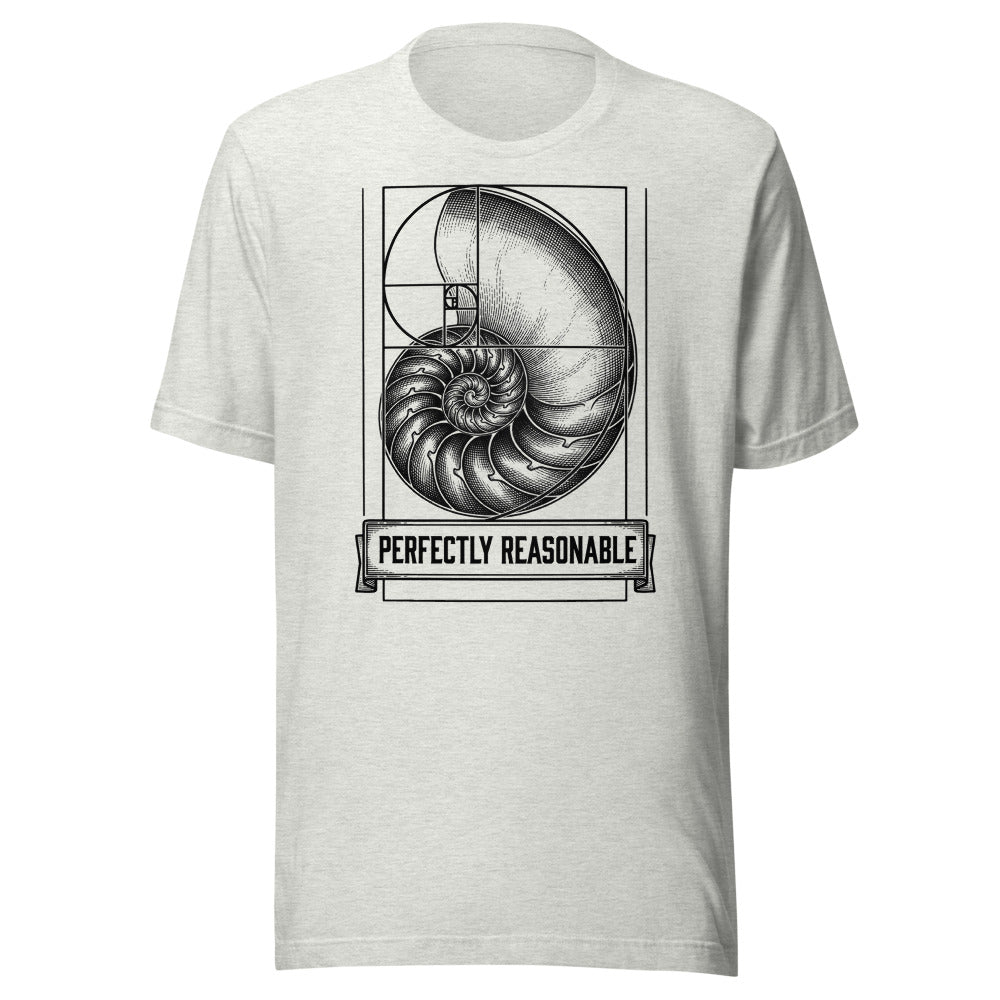 Perfectly Reasonable — Golden Ratio | Vintage Math Tee Ash flat lay