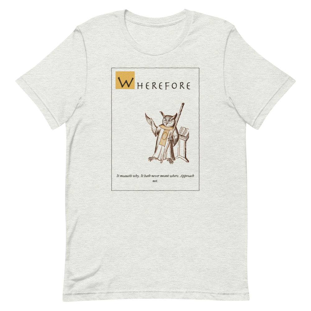 Wherefore: It Meaneth Why | Ye Olde Grievance Tee - Tee Ash