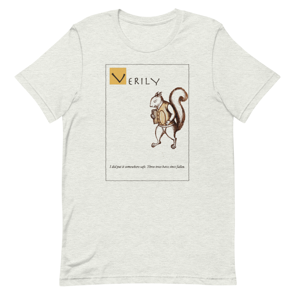 Verily: I Put It Somewhere Safe | Ye Olde Grievance Tee - Tee Ash