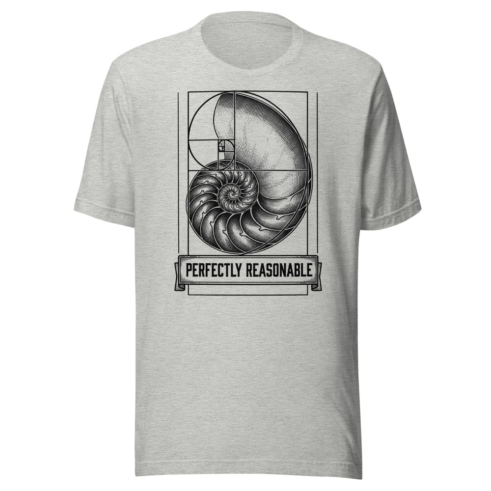 Perfectly Reasonable — Golden Ratio | Vintage Math Tee Athletic Heather flat lay