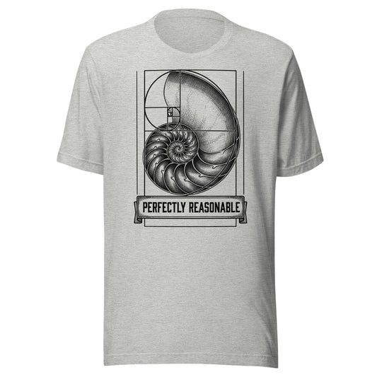 Perfectly Reasonable — Golden Ratio | Vintage Math Tee Athletic Heather flat lay